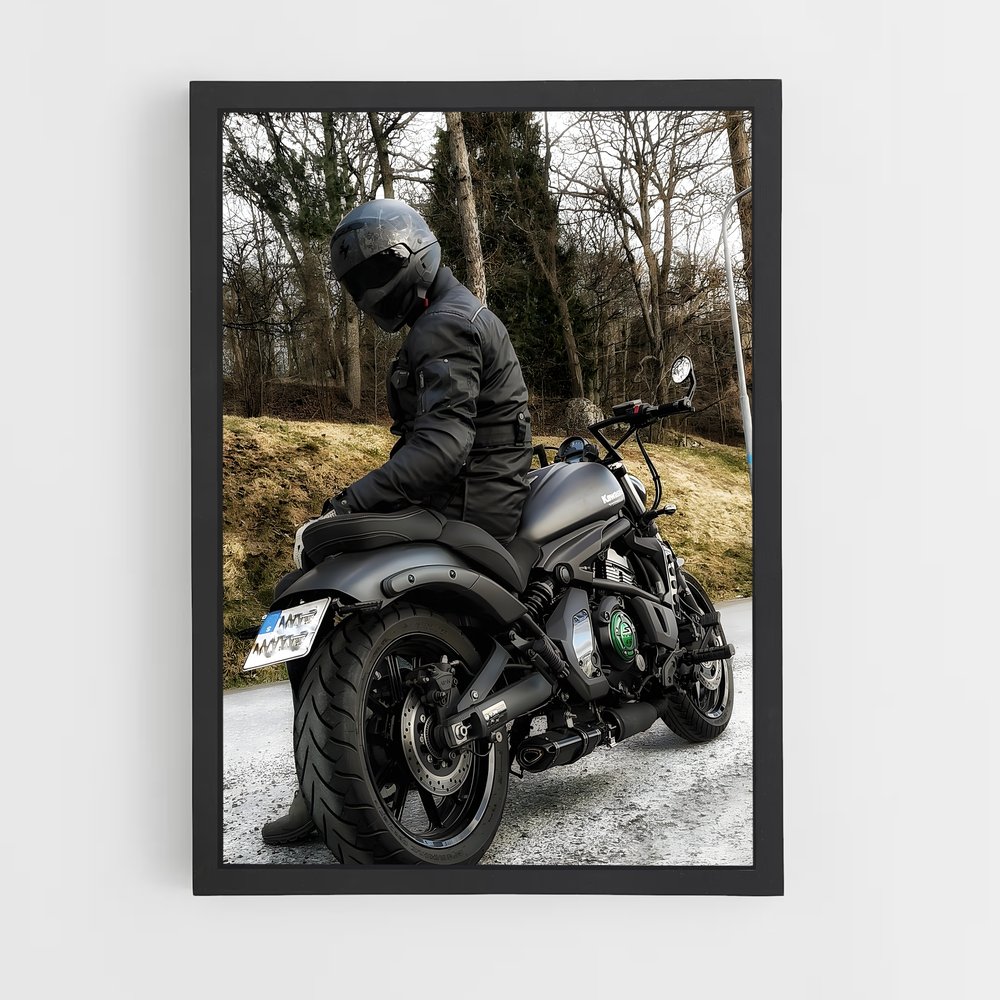 Poster Vulcain mystérieux (vue 2)